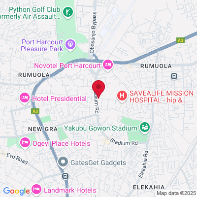 Google Maps static image